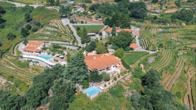 Padrão desmancha do porco (1)