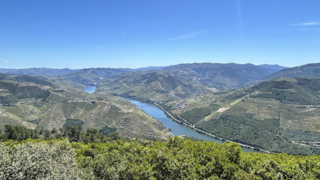 Padrao lAMEGO (2)