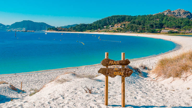 Padrão site cies