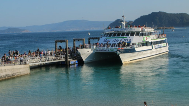 Padrão site cies 3