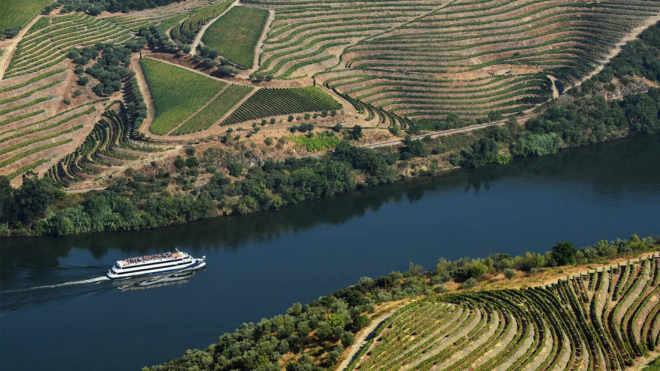 Padrão site douro 1