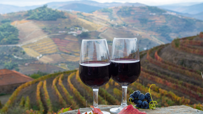 Padrão site douro 3