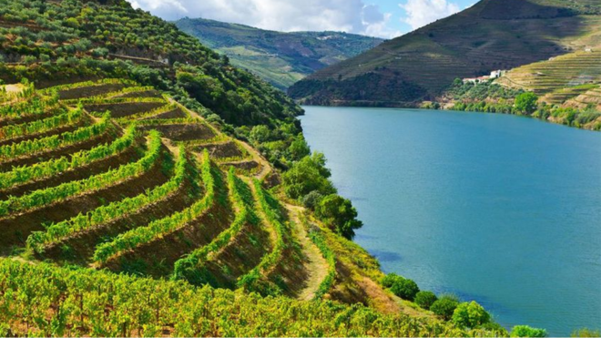 Padrão site douro 5