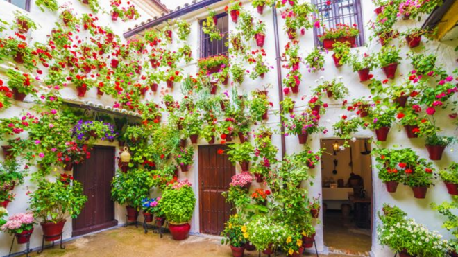 Padrão site patios de cordoba (5)