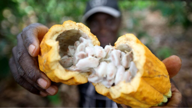 Padrão site sao tome 1
