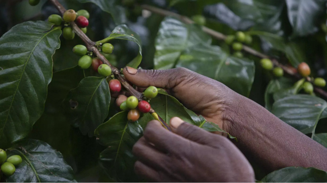 Padrão site sao tome 4